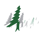 woodforest national bank